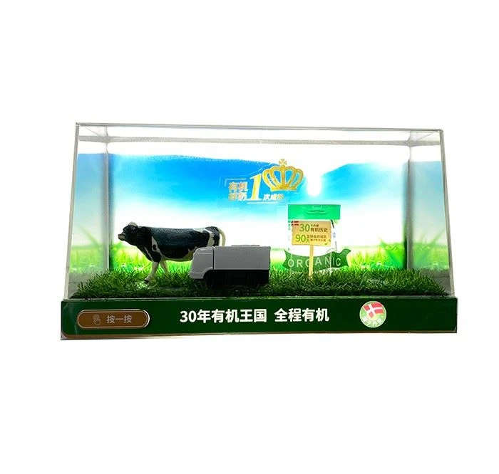 Light Transparent Acrylic Display Box With Base