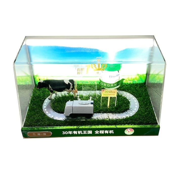 Light Transparent Acrylic Display Box With Base